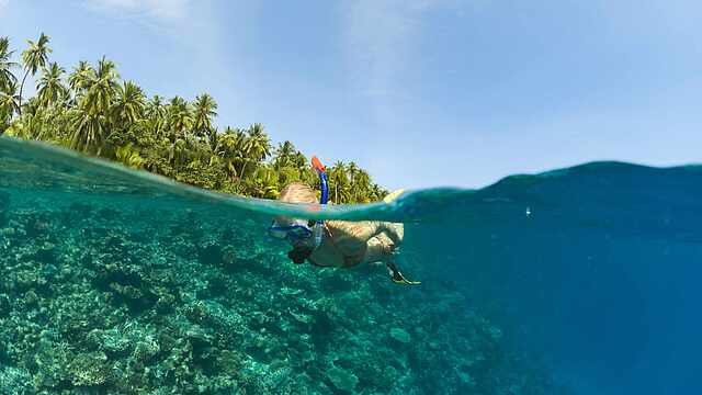 魯濱遜俱樂部水下透澈海洋與珊瑚生物奇景